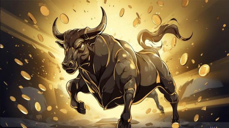 What is a Bull or Bear market?